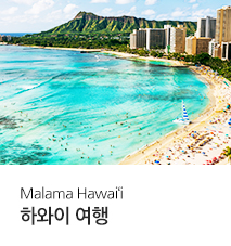 [기획전] 말라마하와이 기획전