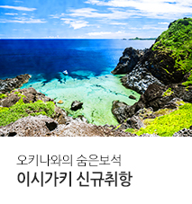 [기획전] 이시가키 신규취항 진에어 정기편