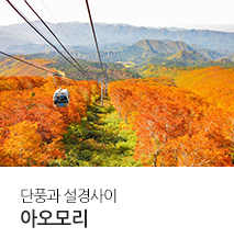 [홈쇼핑] 아오모리 홈쇼핑 기획전