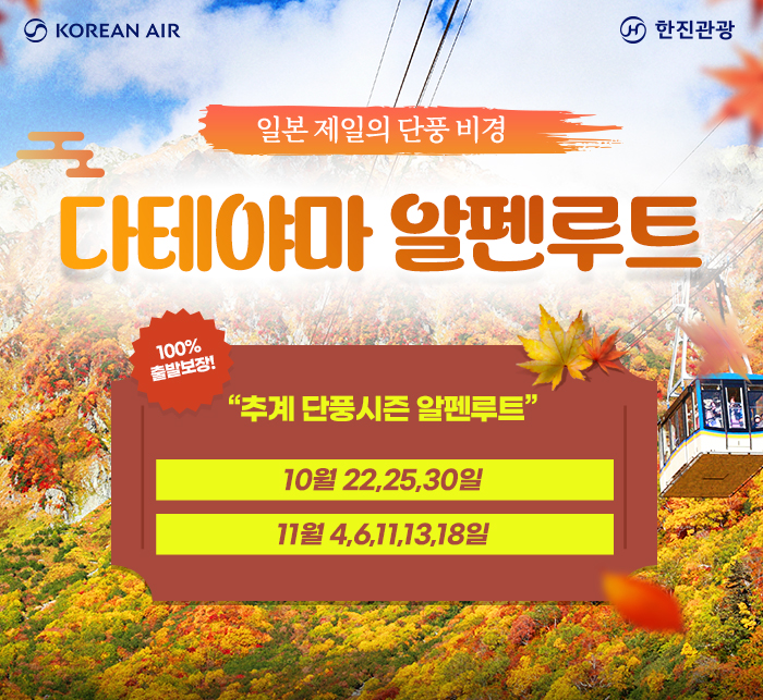 [기획전] 나고야 알펜루트 기획전