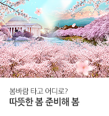 [패키지모음]2026 봄 기획전