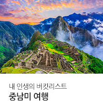 [기획전] 중남미 기획