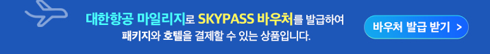 skypass바우처